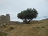 CHATEAU D'AGUILAR - AUDE - FRA