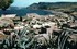 L'ALGERIE DE MON ENFANCE, 1949