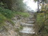 CHATEAU DE PUILAURENS - AUBE -