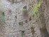 CHATEAU DE PUILAURENS (2) - AU