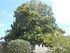 L COMME LAGRASSE - AUDE - FRAN