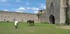 CHATEAU DE PUIVERT - AUDE - FR