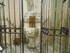 C COMME CHATEAUNEUF DU PAPE - 