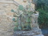 C COMME CHATEAUNEUF DU PAPE - 