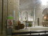 V COMME VAISON LA ROMAINE (3) 