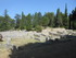 V COMME VAISON LA ROMAINE (2) 