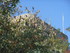 V COMME VAISON LA ROMAINE (4) 