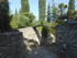 V COMME VAISON LA ROMAINE (4) 