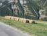 L COMME LE BOIS DES AMOUREUX, 