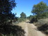 CHEMIN DES CATHARES...