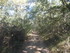CHEMIN DES CATHARES...