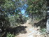 CHEMIN DES CATHARES...