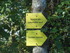 LA FORET DE NEBIAS...