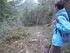 LA FORET DE NEBIAS...