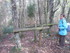 LA FORET DE NEBIAS...