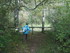LA FORET DE NEBIAS...