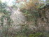 LA FORET DE NEBIAS...