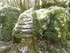 LA FORET DE NEBIAS...