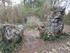LA FORET DE NEBIAS...