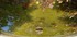 A COMME AIX EN PROVENCE (12) -