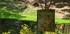 A COMME AIX EN PROVENCE (12) -