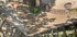 A COMME AIX EN PROVENCE (12) -