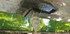 A COMME AIX EN PROVENCE (13) -