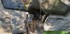 A COMME AIX EN PROVENCE (13) -