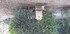 A COMME AIX EN PROVENCE (15) -
