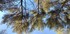 A COMME AIX EN PROVENCE (15) -