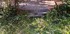A COMME AIX EN PROVENCE (15) -