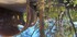 A COMME AIX EN PROVENCE (16) -