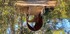 A COMME AIX EN PROVENCE (16) -
