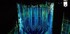 A COMME AIX EN PROVENCE (21) -