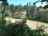 L COMME LES BOULINETTES (2) - 