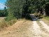 L COMME LES BOULINETTES - ALPE