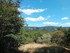 L COMME LES BOULINETTES - ALPE