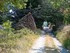L COMME LES BOULINETTES (2) - 