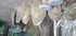 L COMME LES BOULINETTES (7) - 