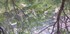 L COMME LES BAUX DE PROVENCE (