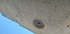 L COMME LA CIOTAT (2) - BOUCHE