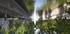 N COMME NIMES (2) - GARD - FRA
