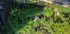 N COMME NIMES (8) - GARD - FRA