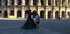 N COMME NIMES (16) - GARD - FR