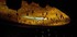 N COMME NIMES (20) - GARD - FR