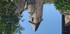L COMME LOUBRESSAC (3) - LOT - FRANCE