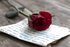 Ma lettre d'amour