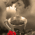 Pistil d'amour