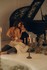 Sensualité et romance