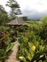 BALI Jour 3